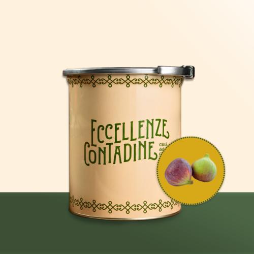FICO ROSA DI PISTICCI